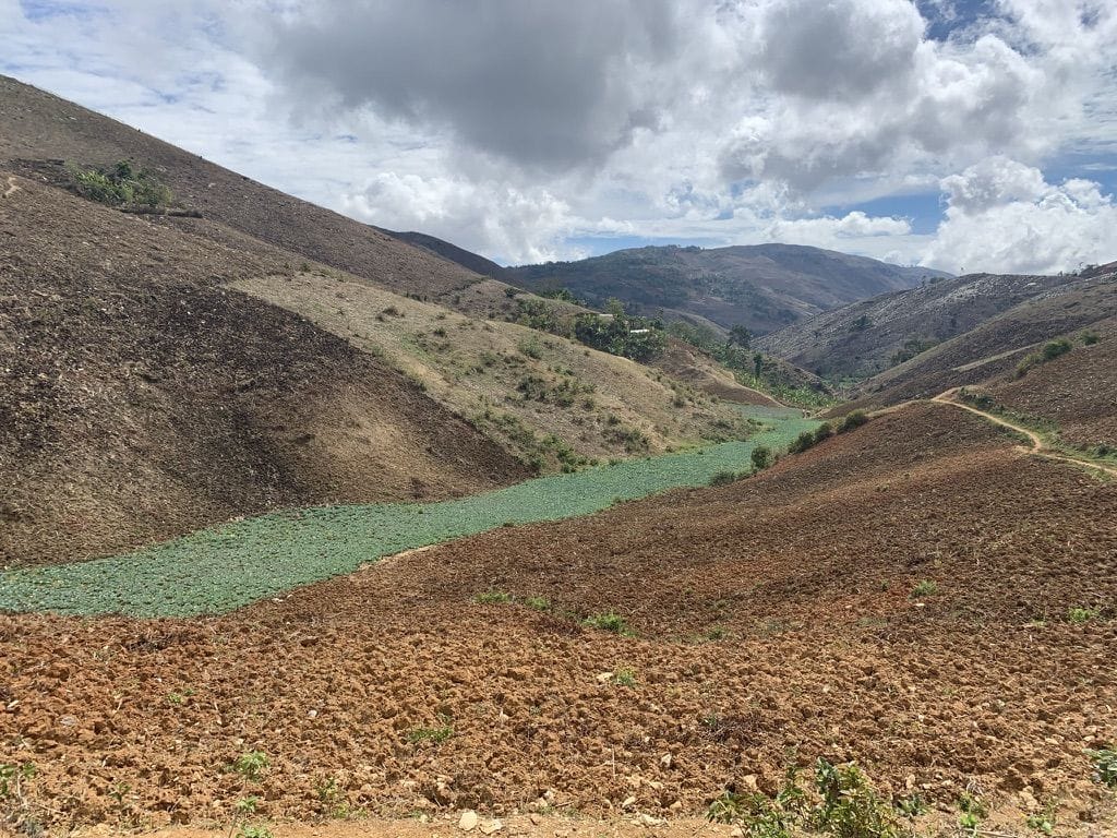 Hillsides prepared for planting in the mountains where the cooperatives work.
